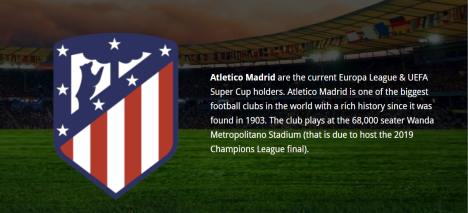 At Madrid Logo and description for camp announcement